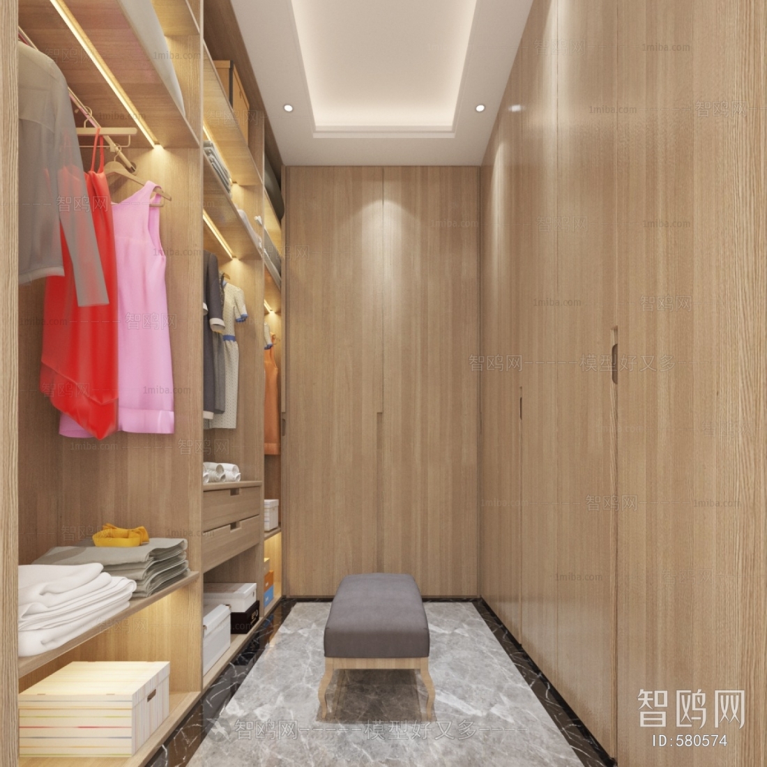 Modern Clothes Storage Area