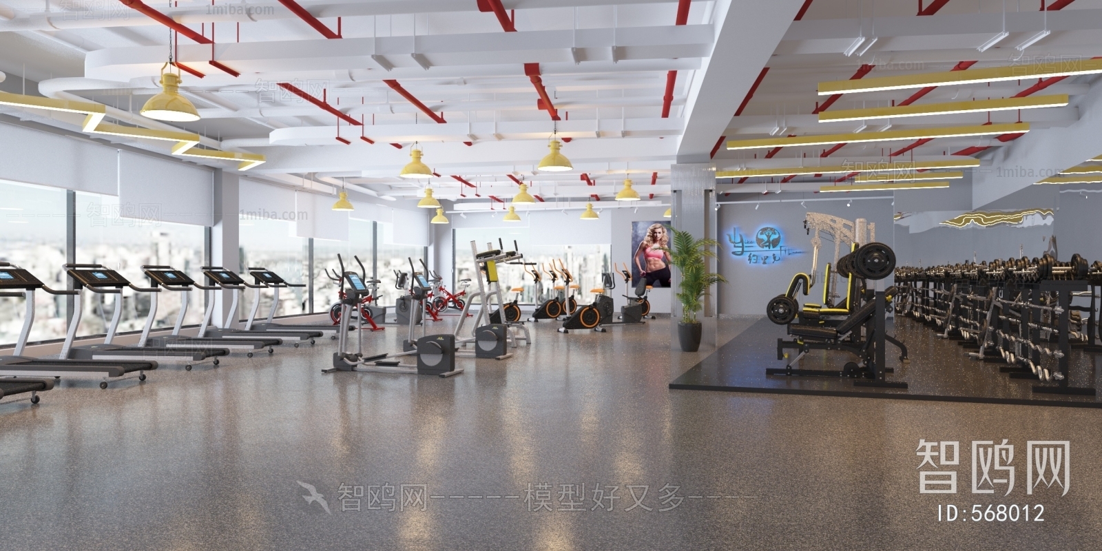 Modern Gym