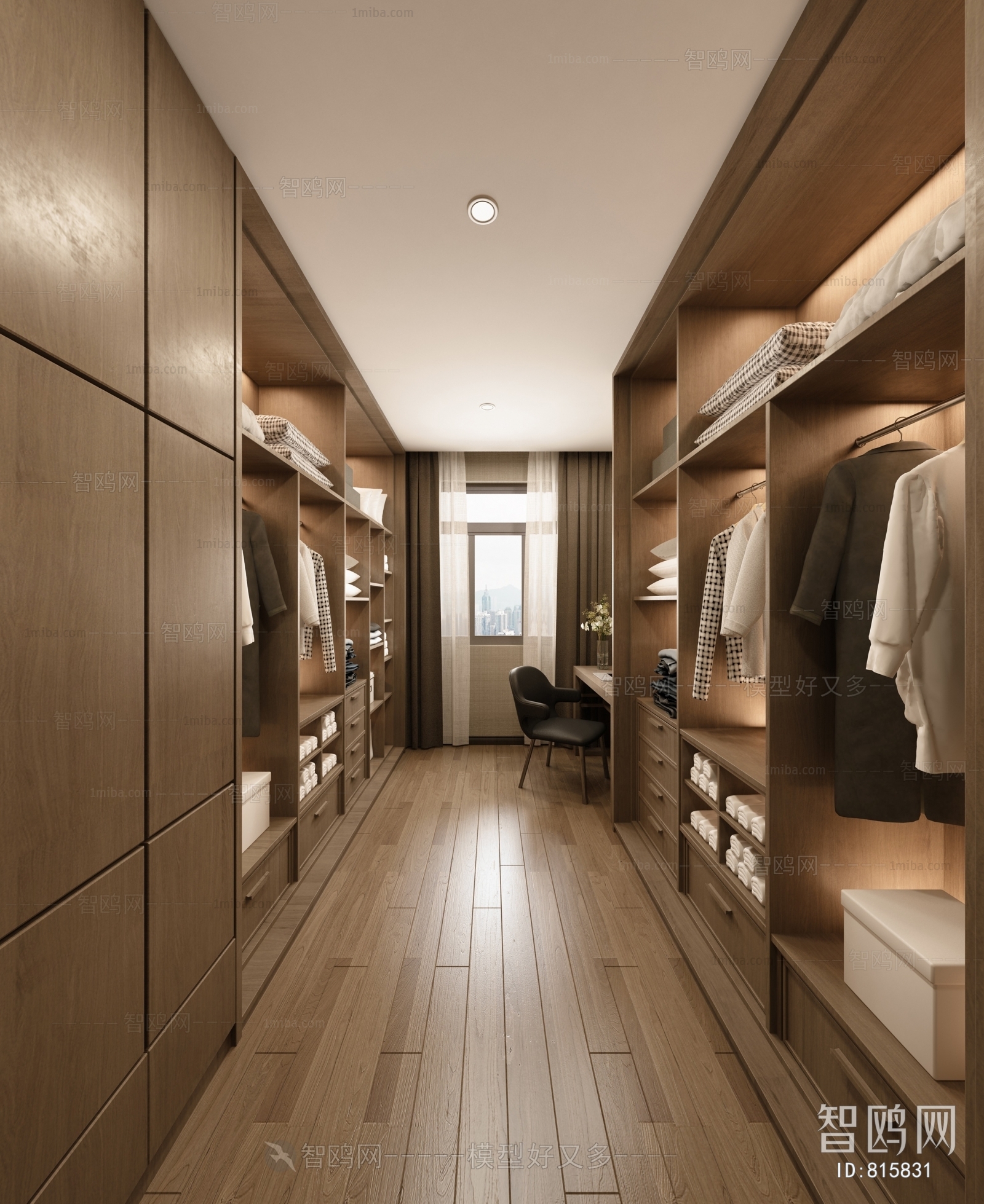 Modern Clothes Storage Area