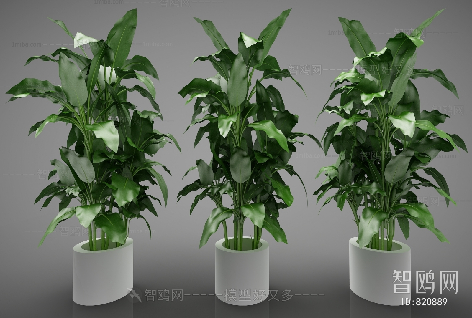 Modern Potted Green Plant