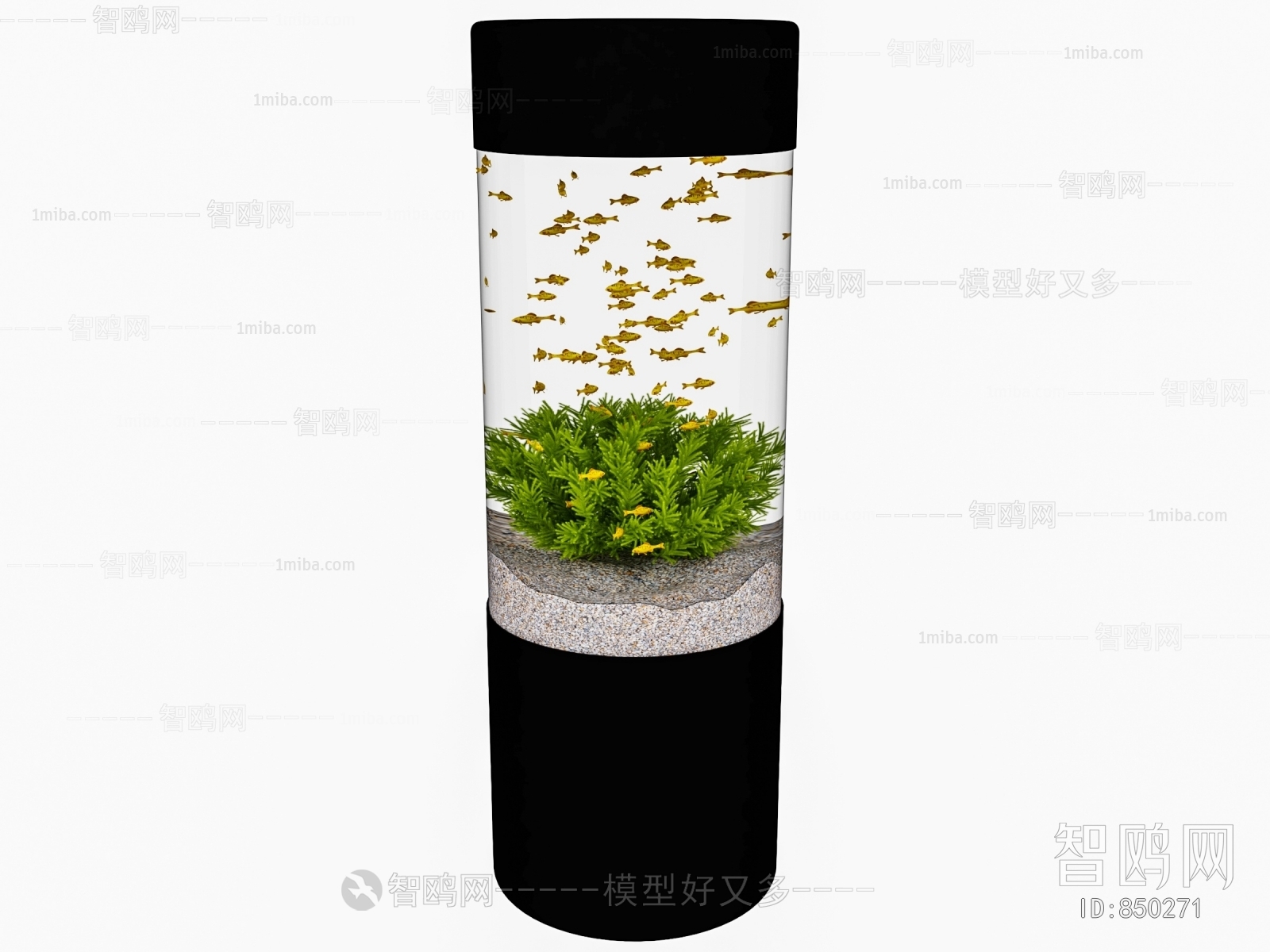 Modern Fish Tank