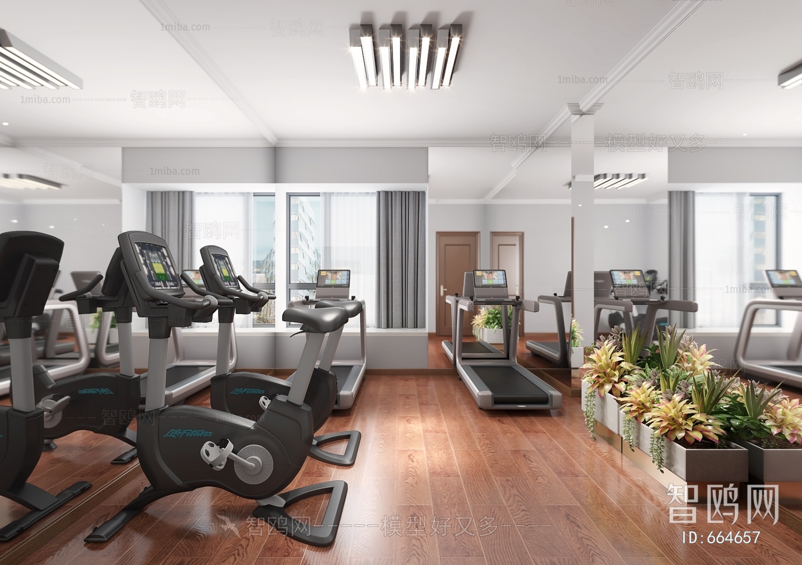 Modern Gym