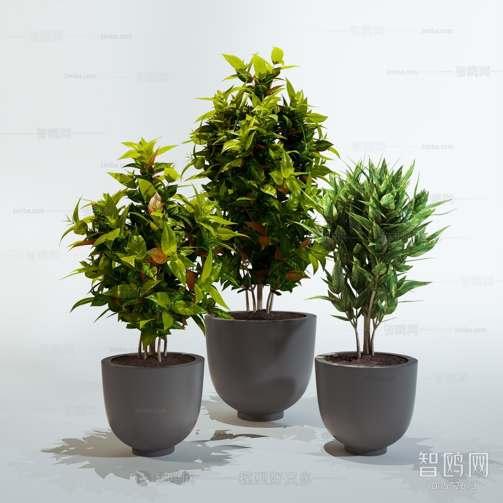 Modern Potted Green Plant