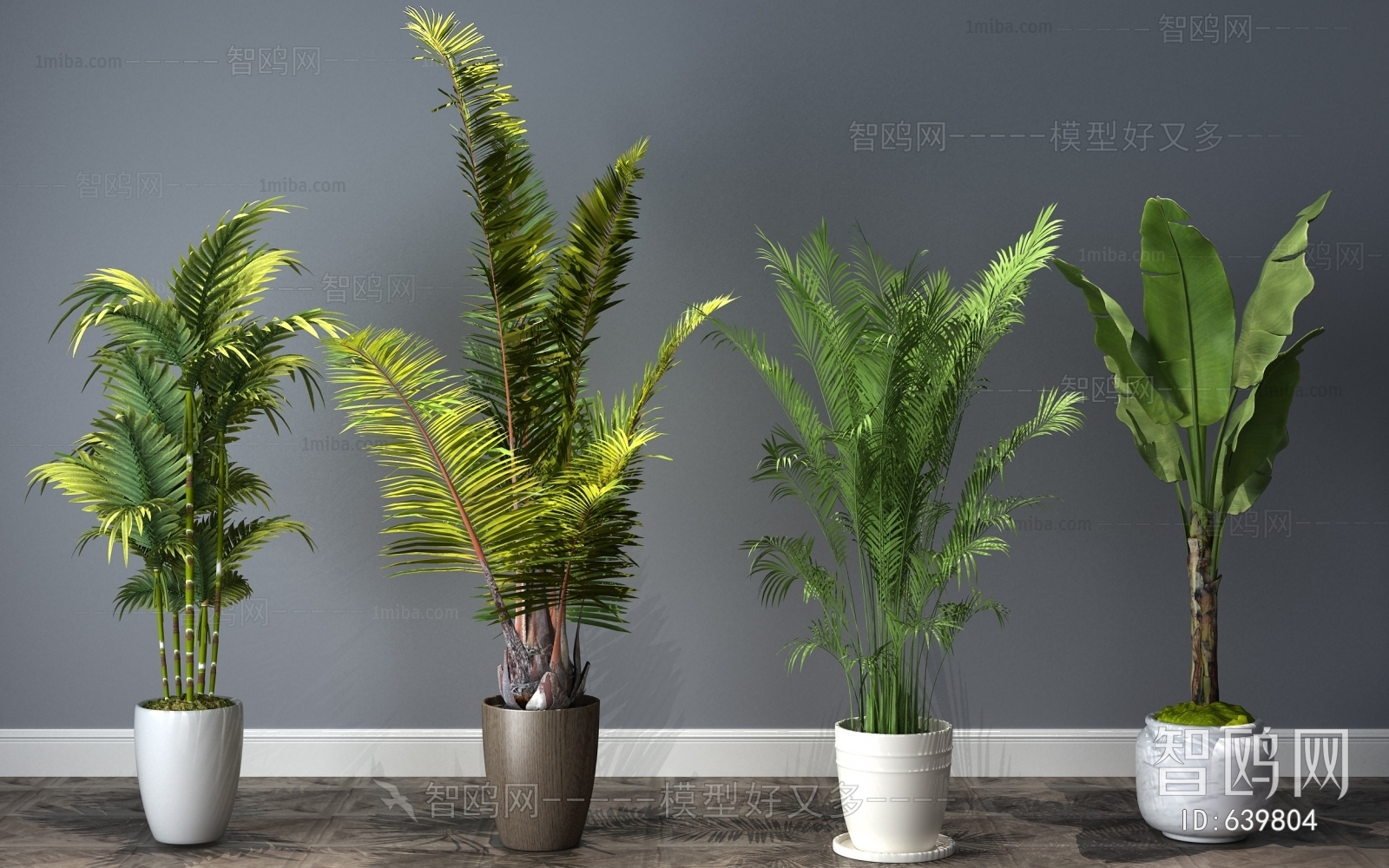 Modern Potted Green Plant