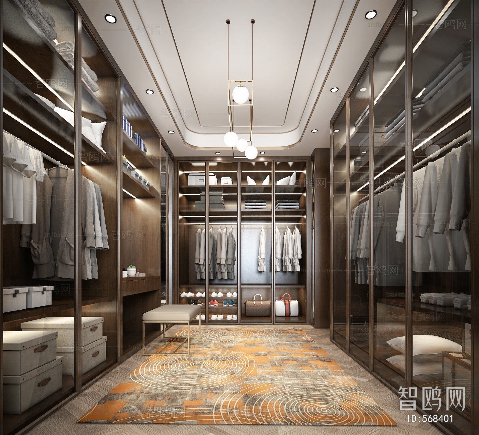 Modern Clothes Storage Area