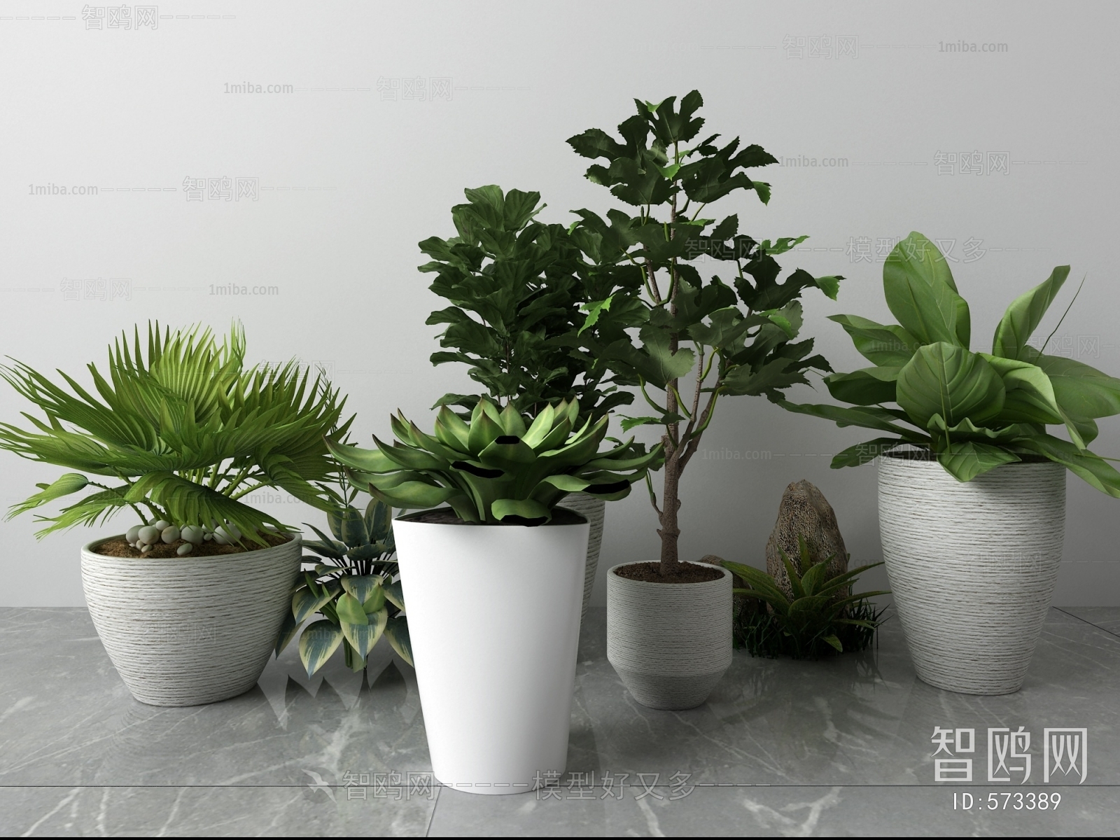 Modern Potted Green Plant