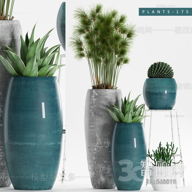 Modern Potted Green Plant