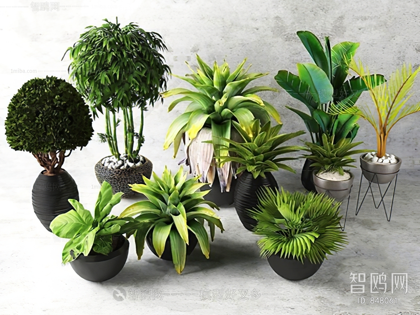 Modern Potted Green Plant