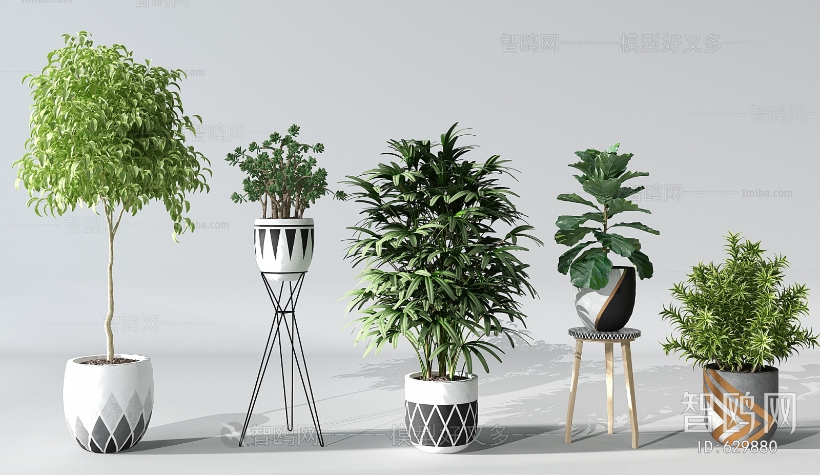 Modern Potted Green Plant