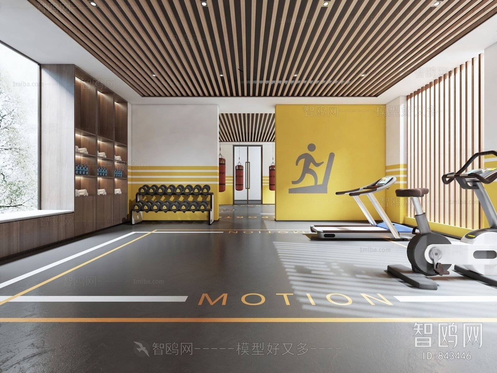 Modern Gym