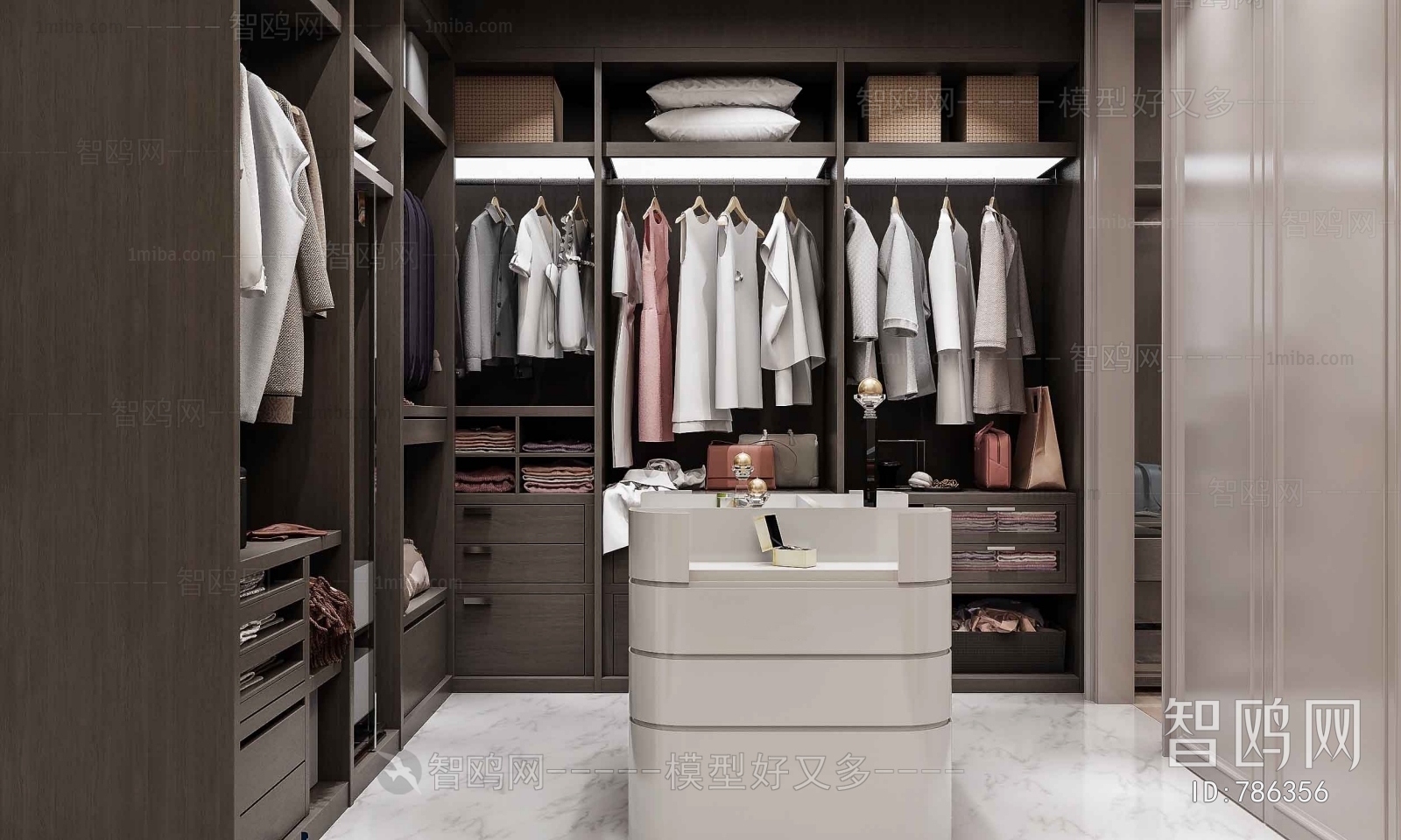 Modern Clothes Storage Area