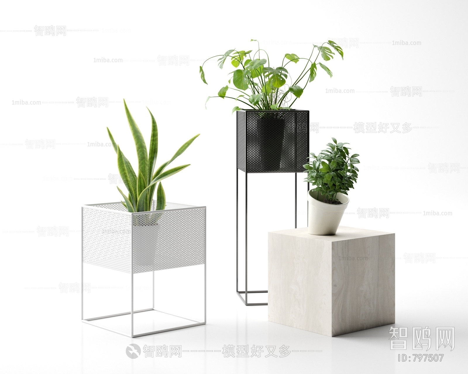 Modern Potted Green Plant