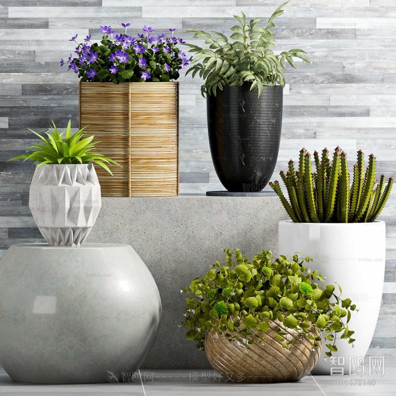 Modern Potted Green Plant