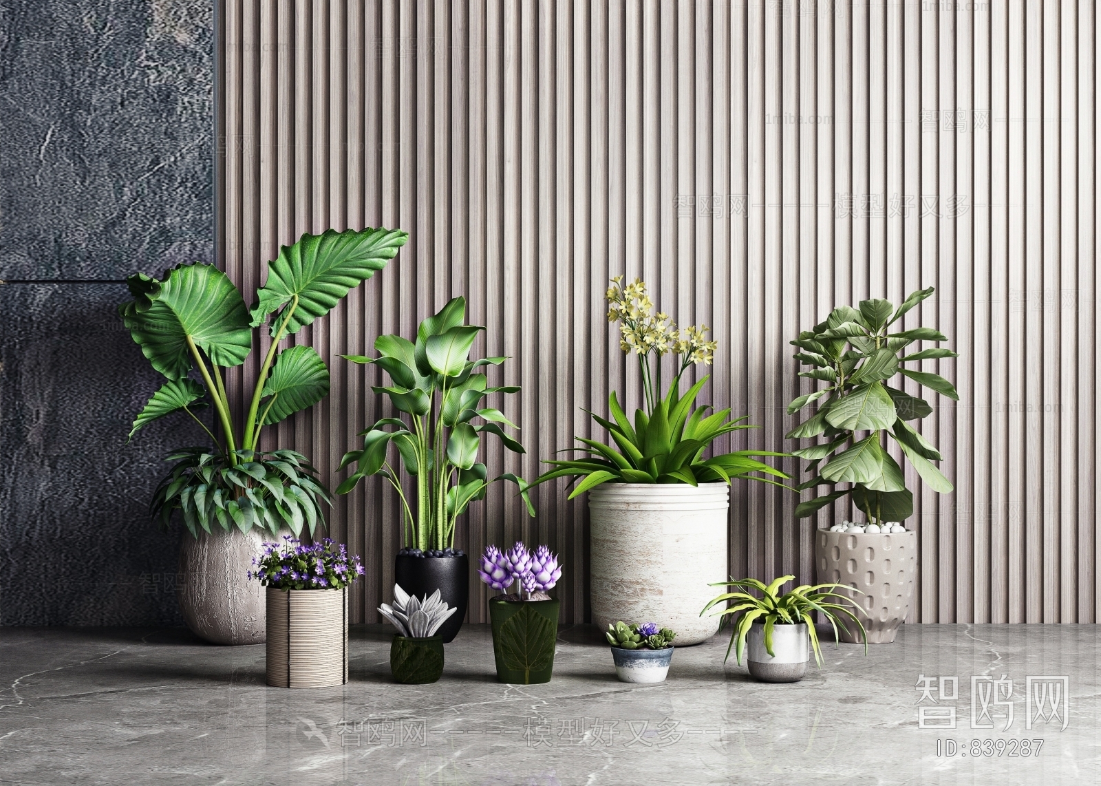 Modern Potted Green Plant