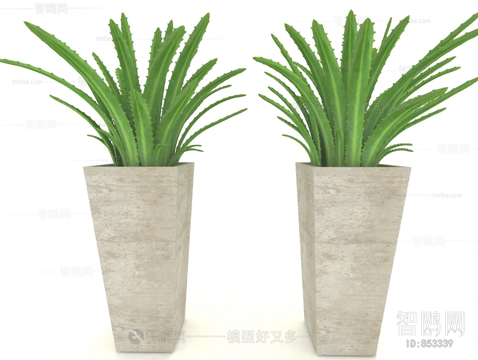 Modern Potted Green Plant