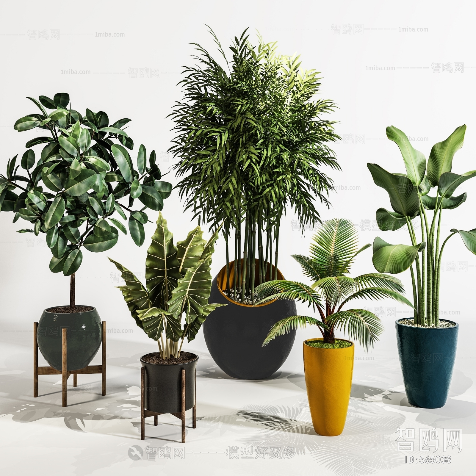 Modern Potted Green Plant