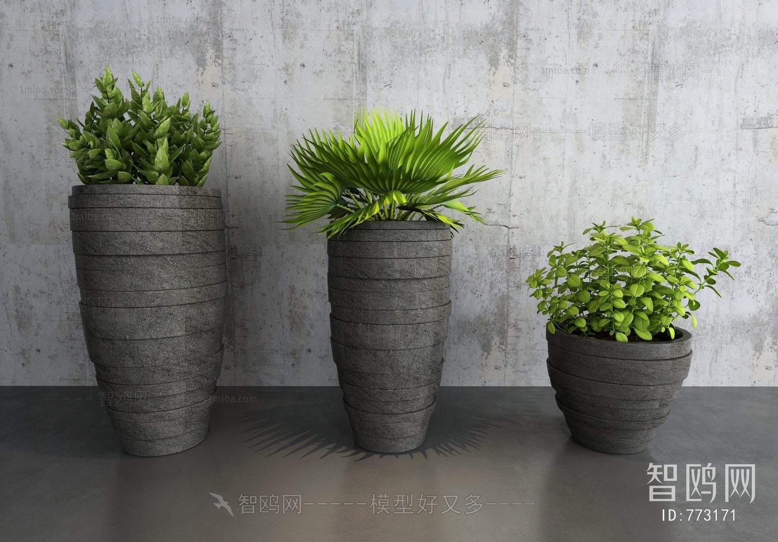 Modern Potted Green Plant