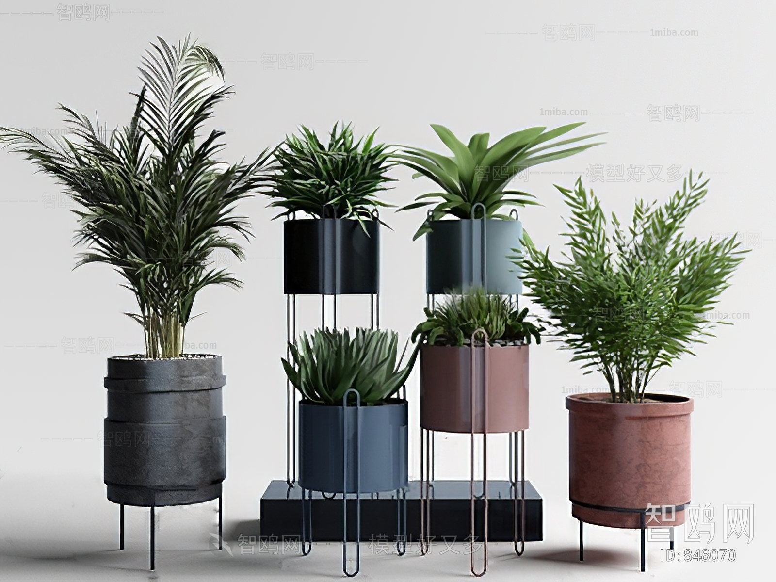 Modern Potted Green Plant