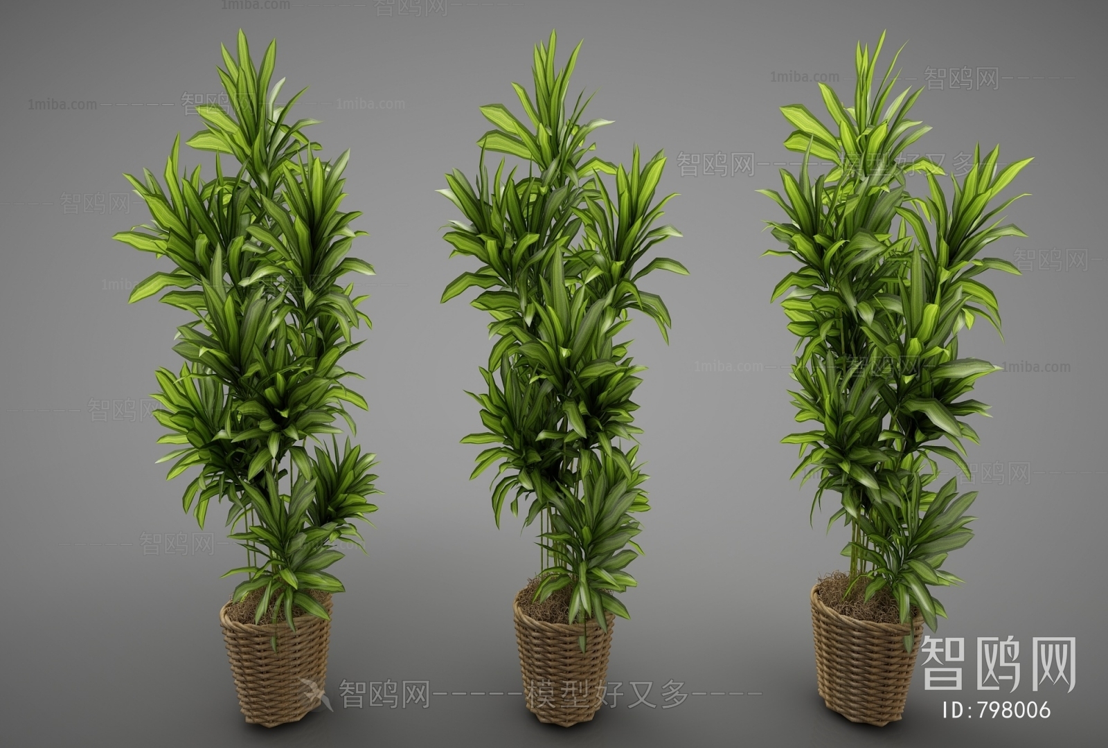 Modern Potted Green Plant