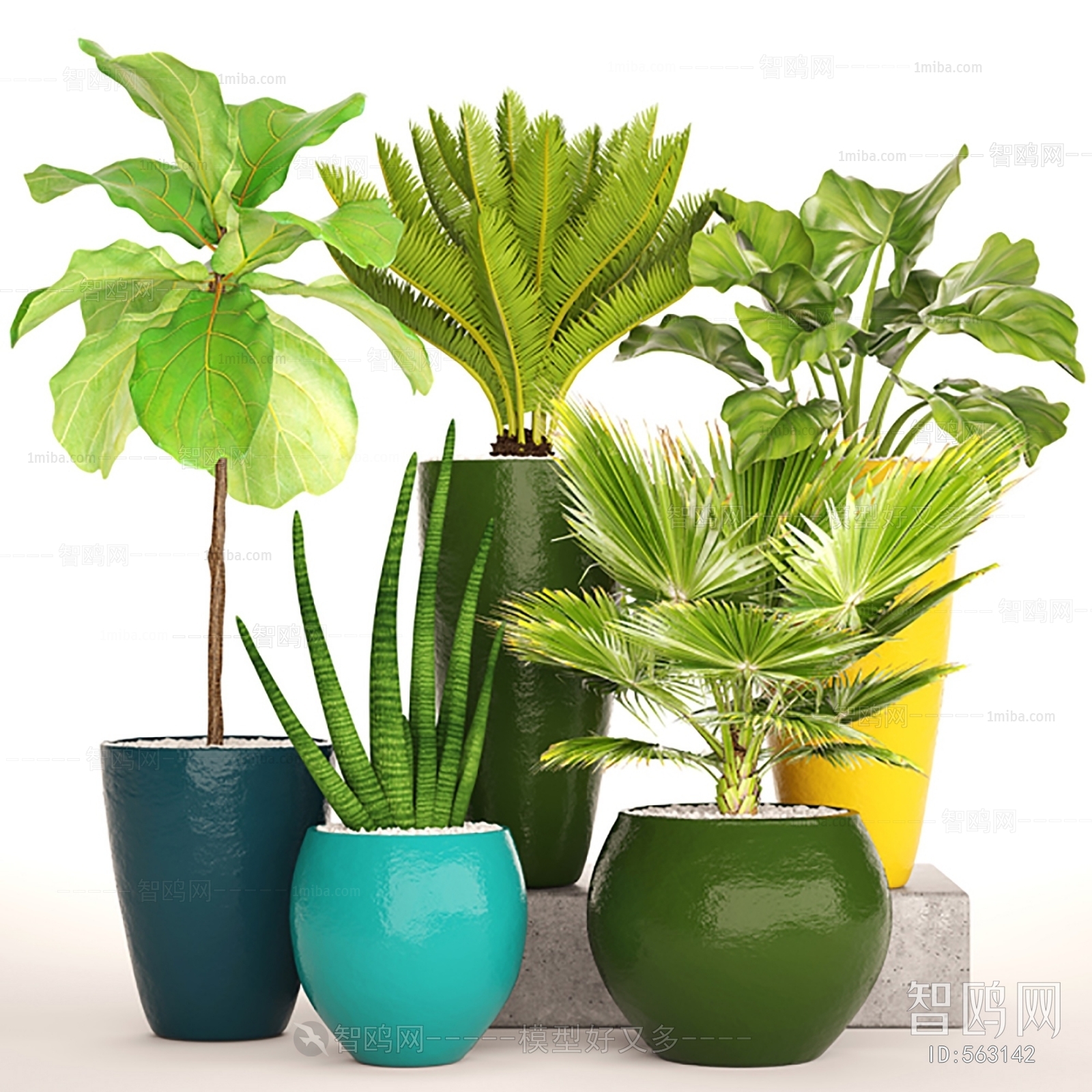 Modern Potted Green Plant