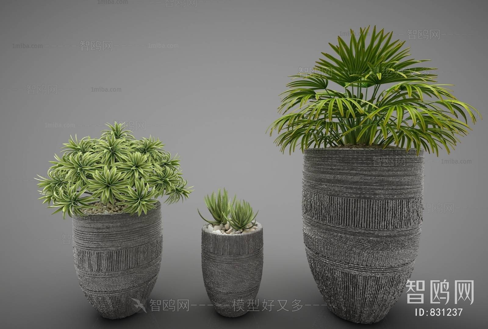 Modern Potted Green Plant