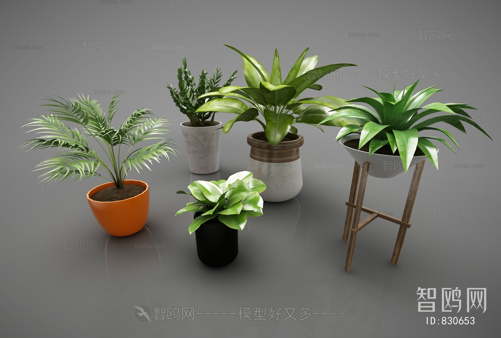 Modern Potted Green Plant