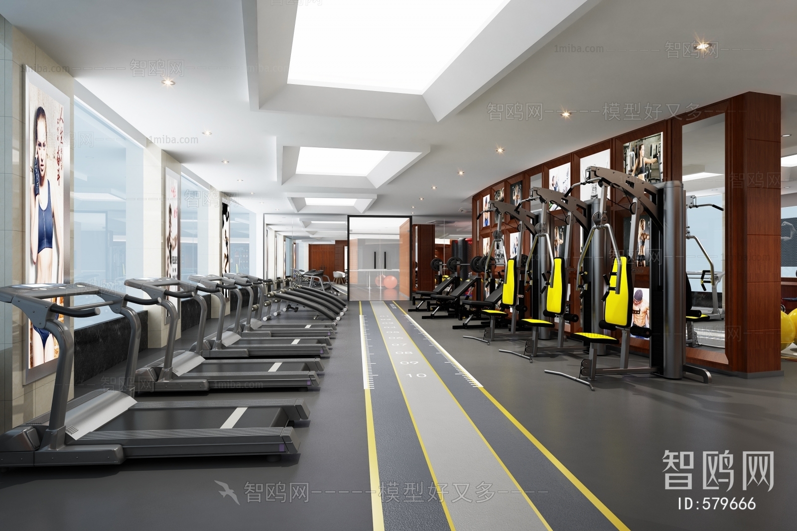 Modern Gym