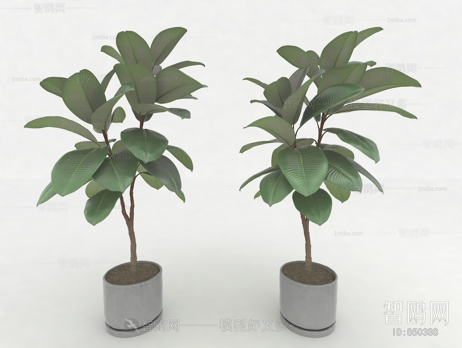 Modern Potted Green Plant