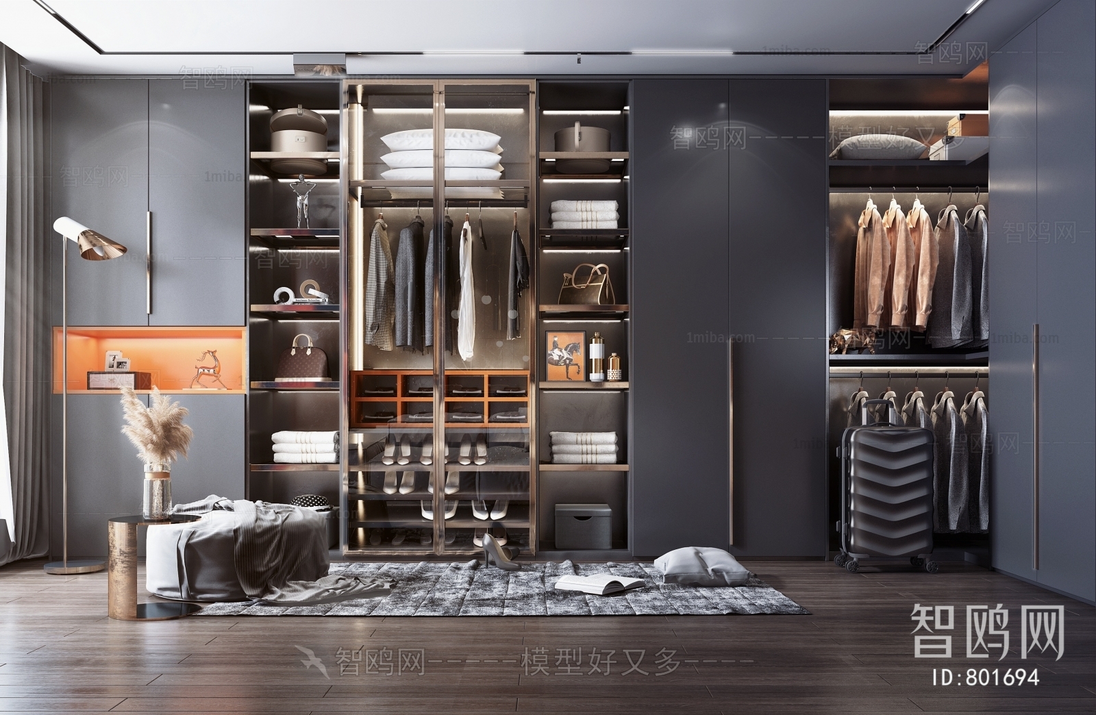 Modern Clothes Storage Area