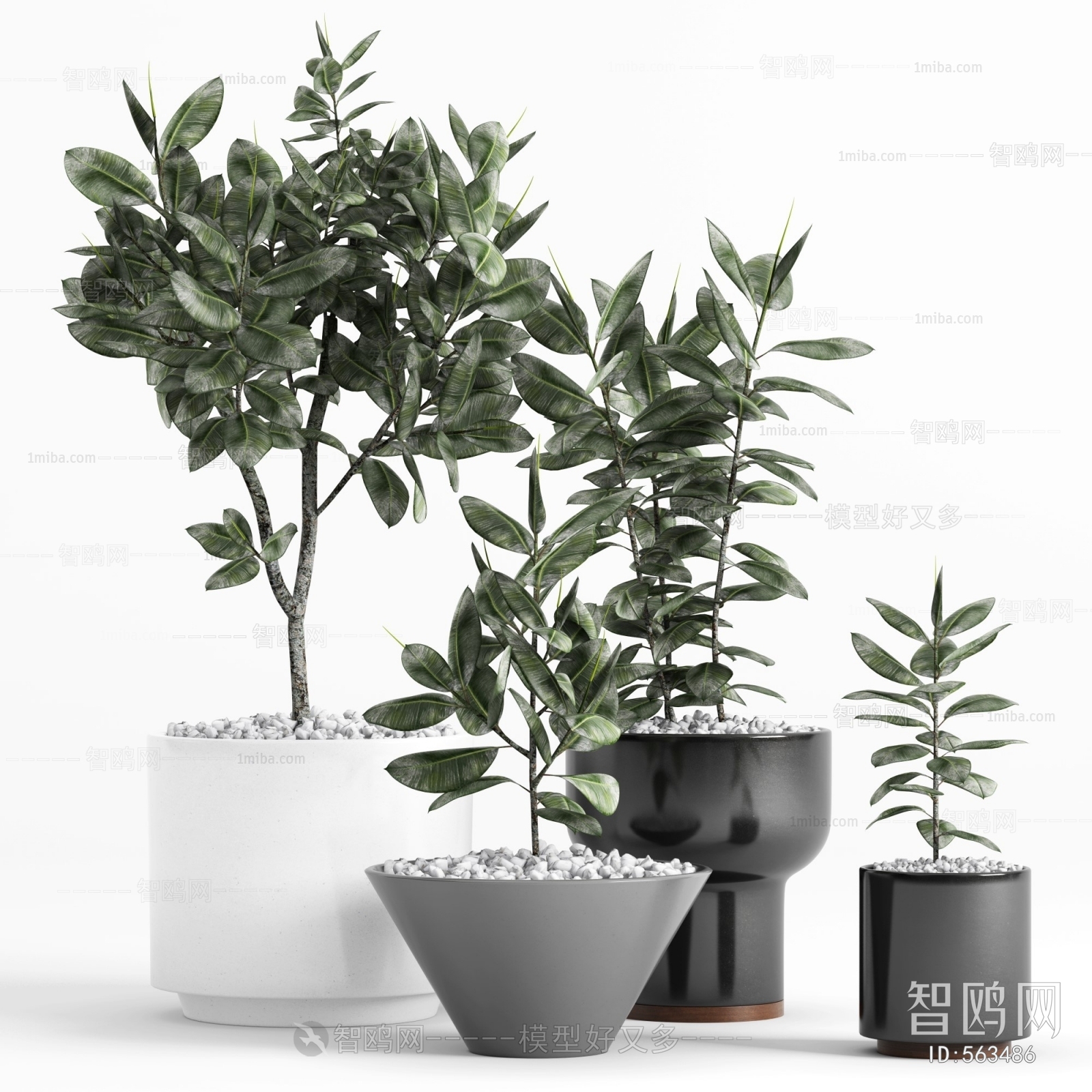 Modern Potted Green Plant