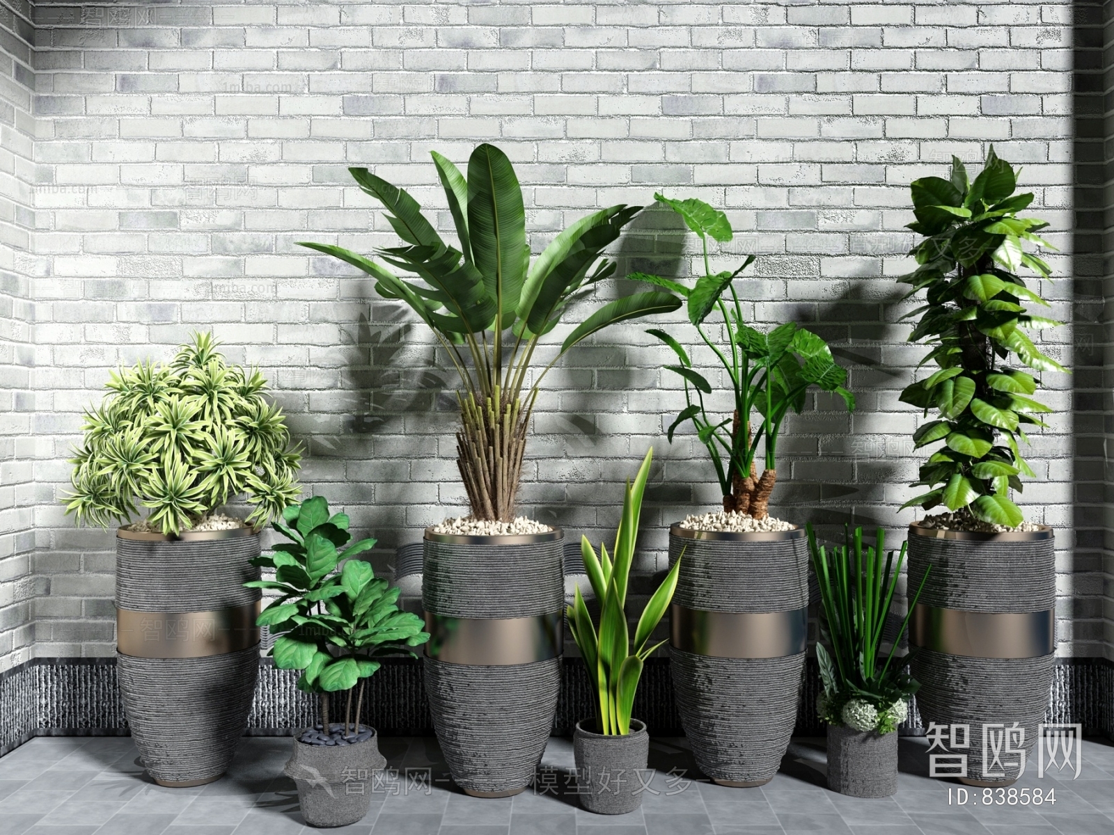 Modern Potted Green Plant