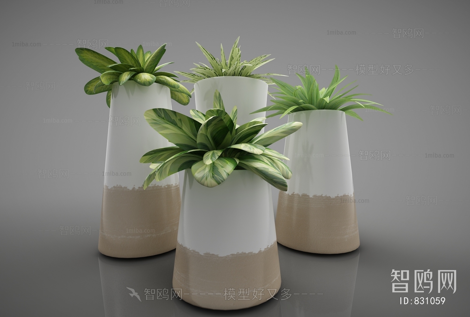 Modern Potted Green Plant