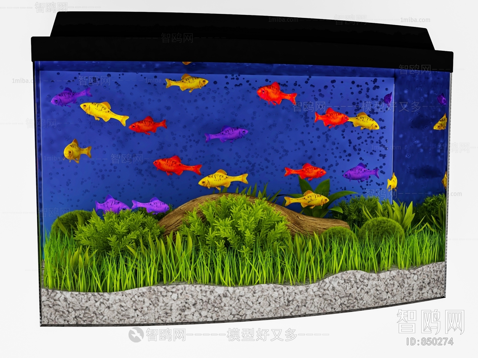 Modern Fish Tank