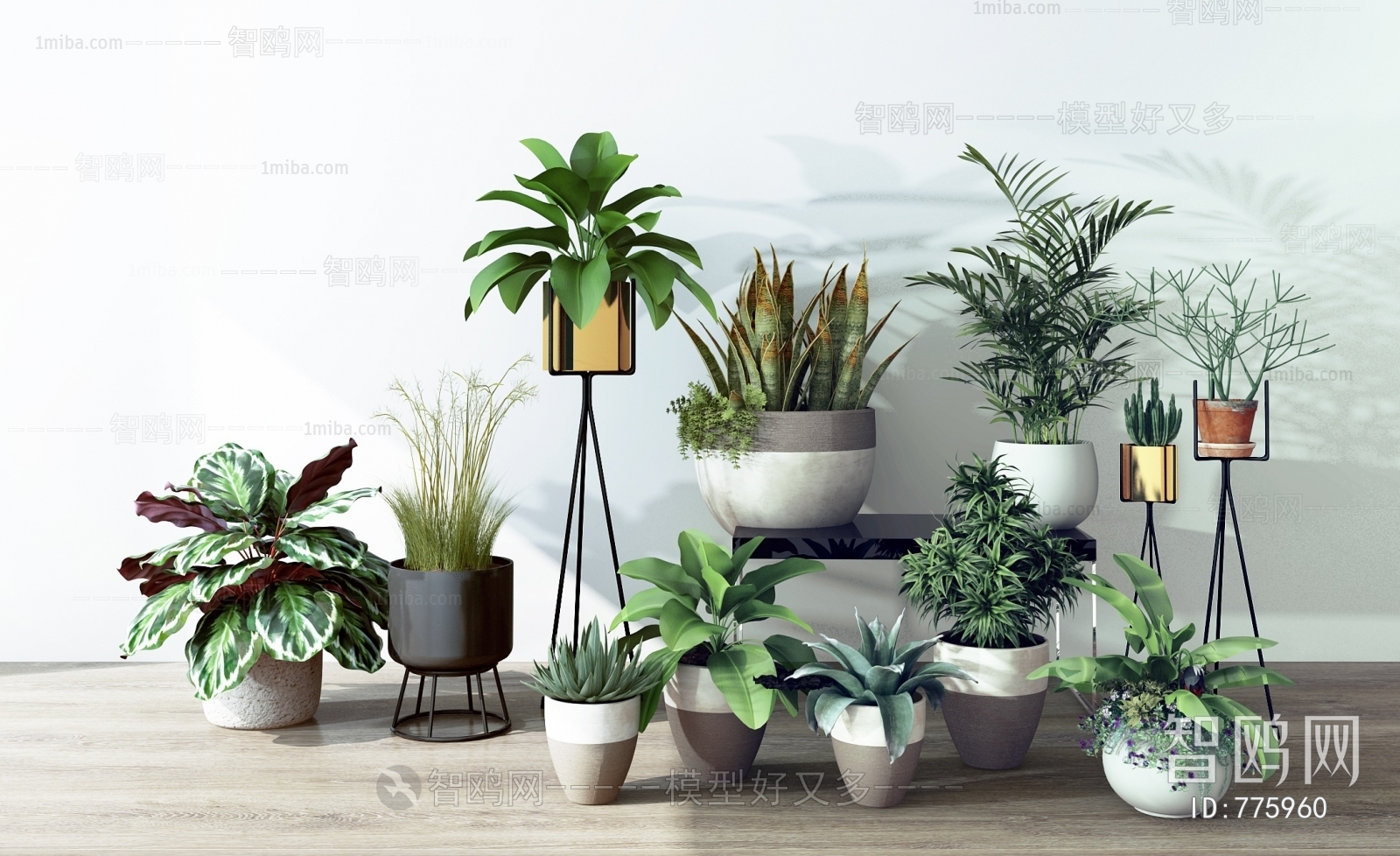 Modern Potted Green Plant