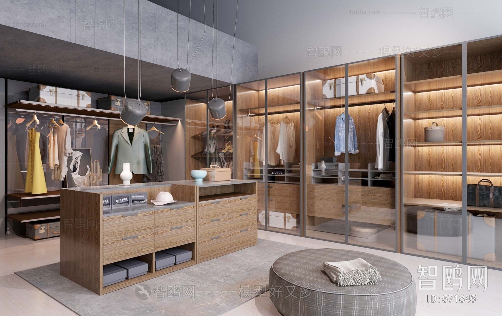 Modern Clothes Storage Area