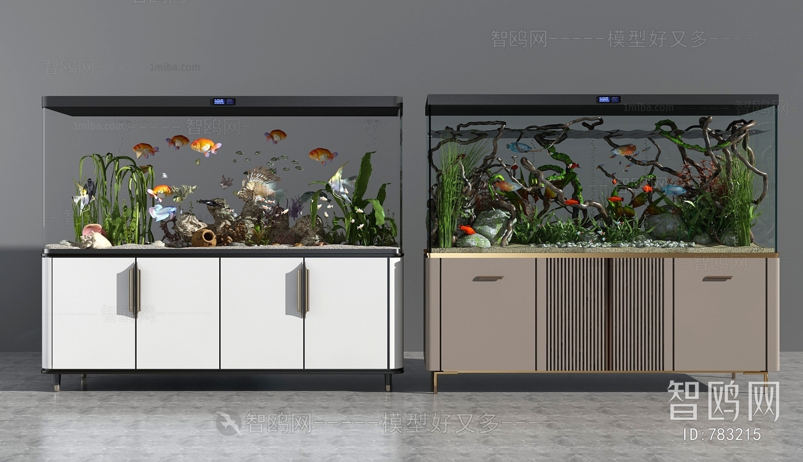 Modern Fish Tank