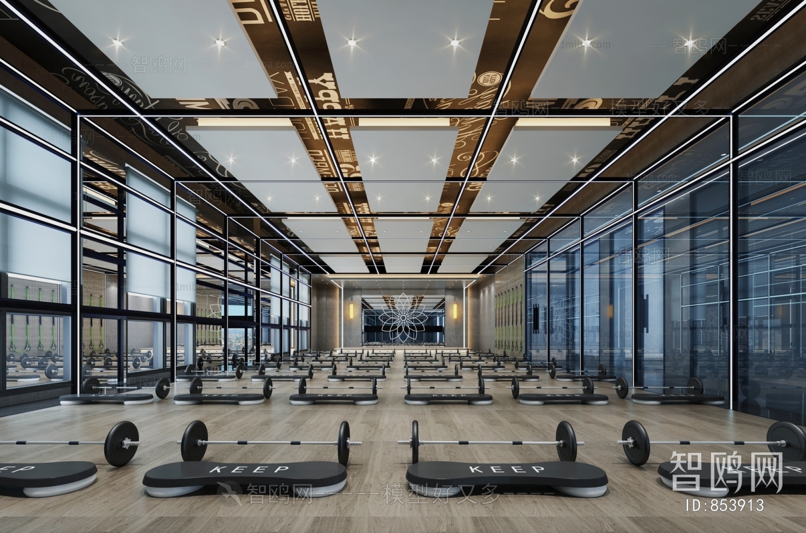 Modern Gym