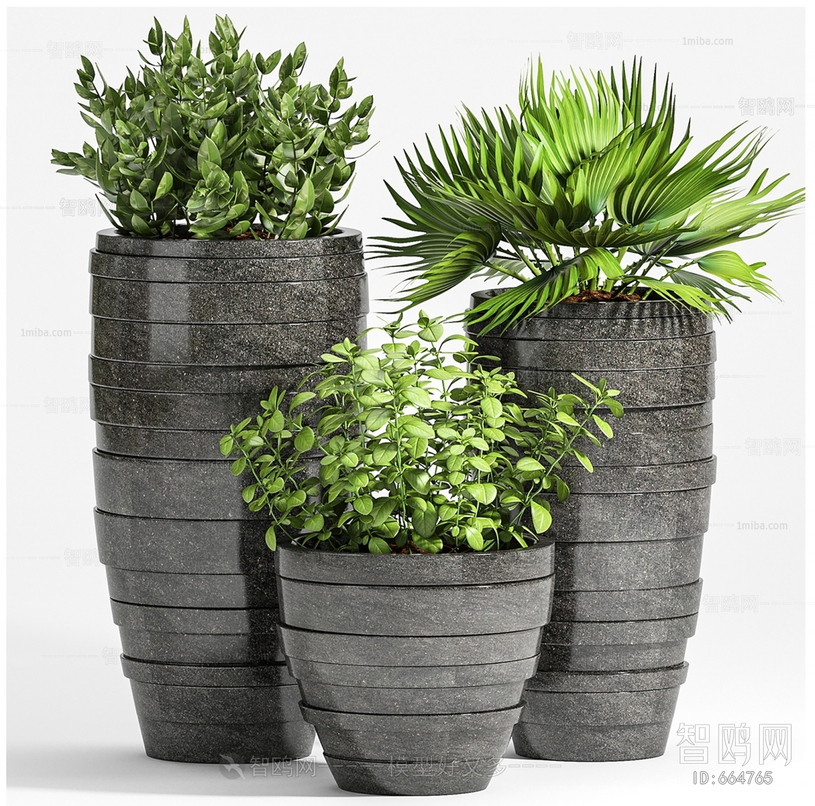 Modern Potted Green Plant