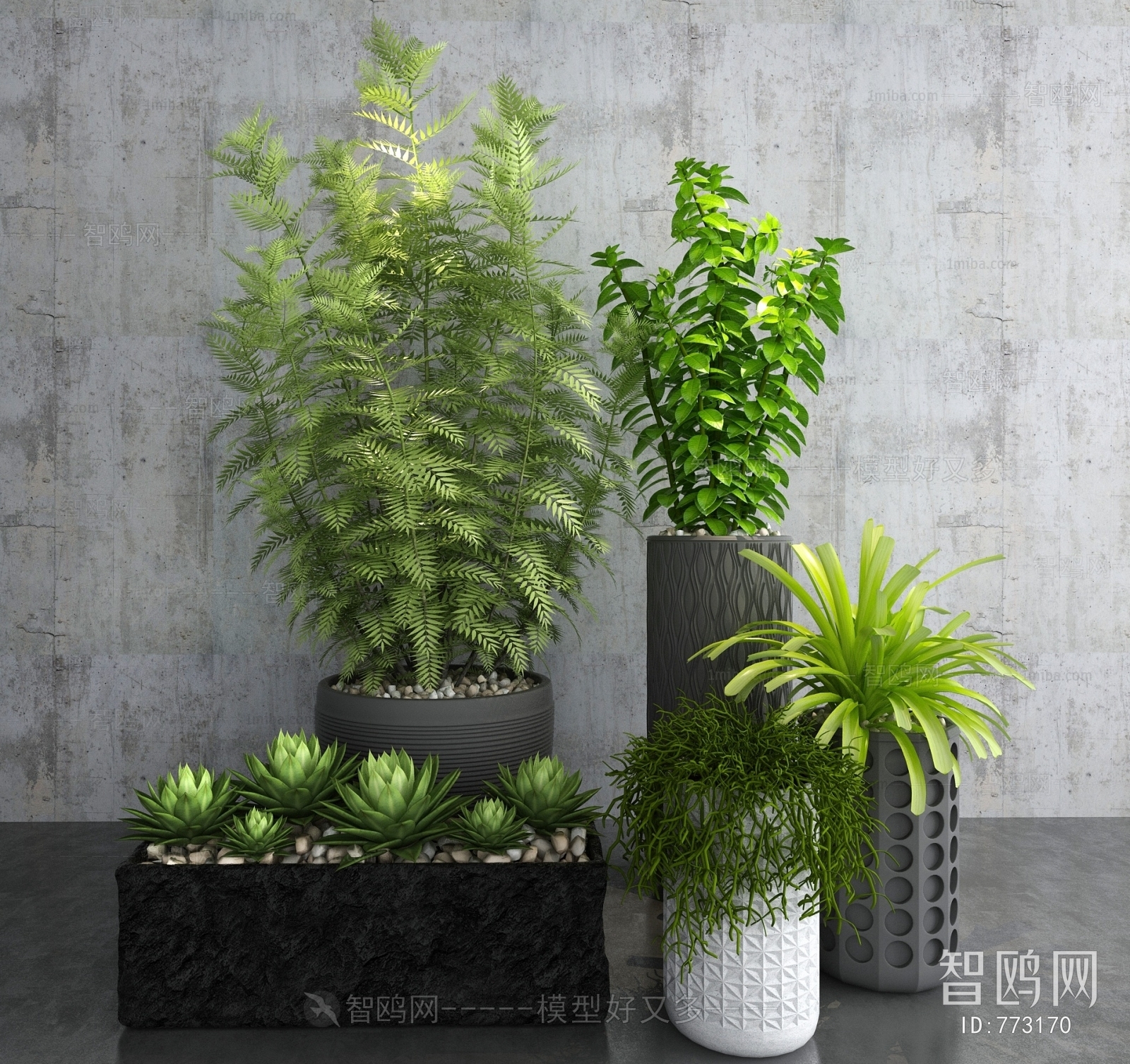 Modern Potted Green Plant