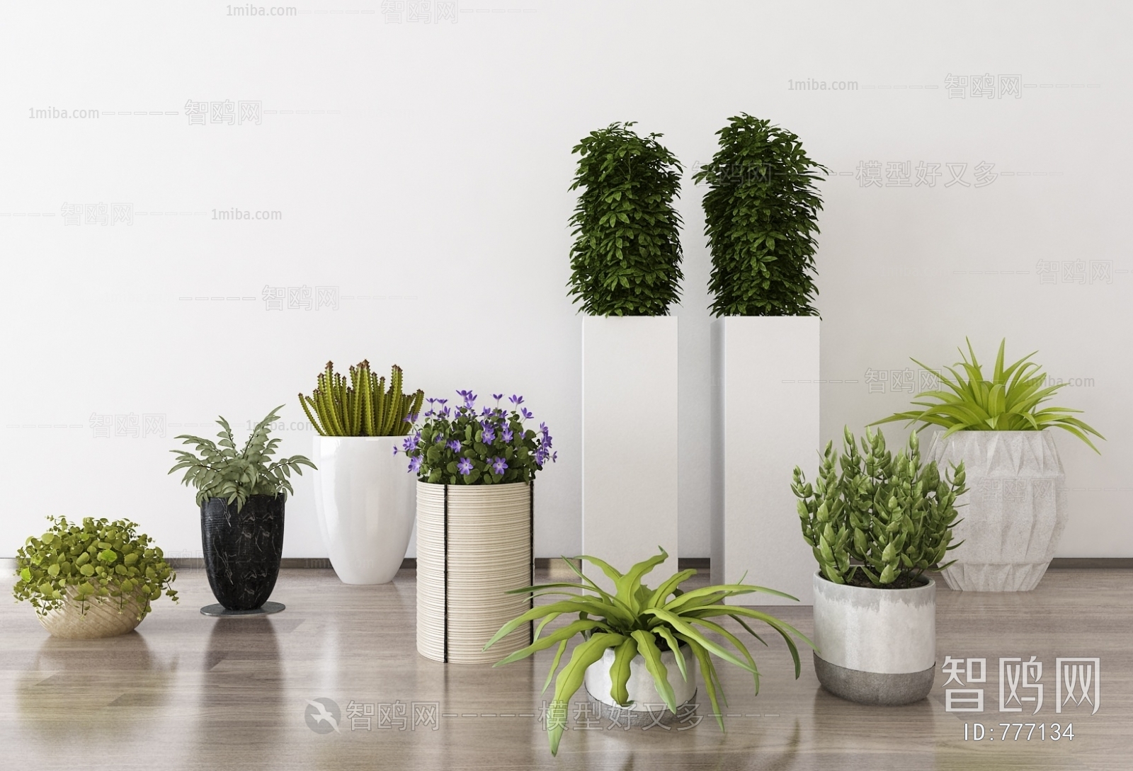 Modern Potted Green Plant