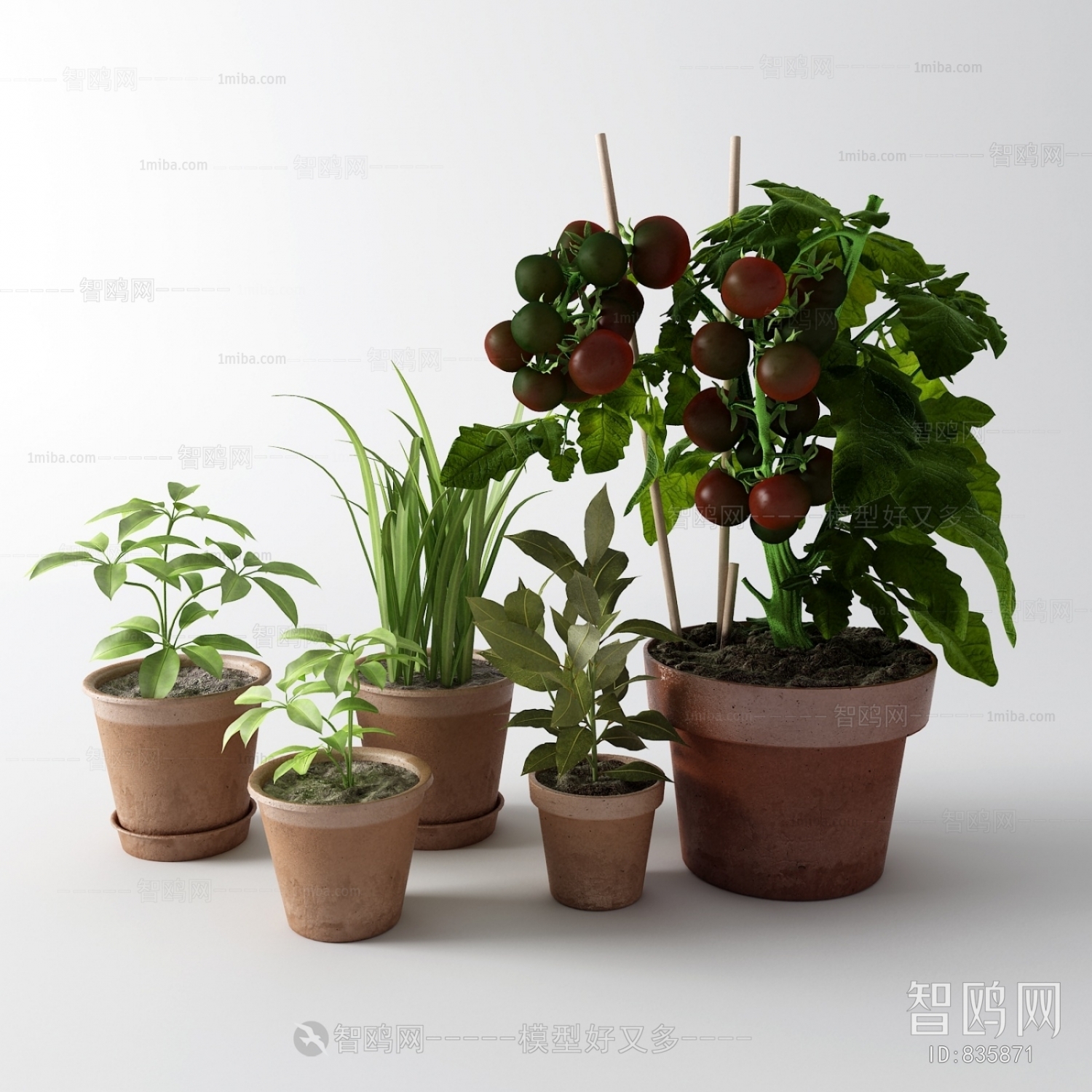 Modern Potted Green Plant