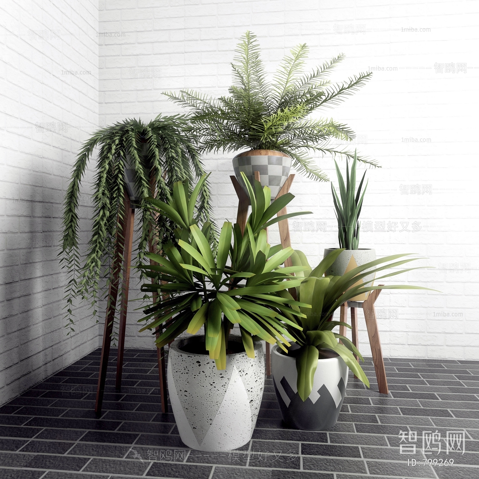 Modern Potted Green Plant