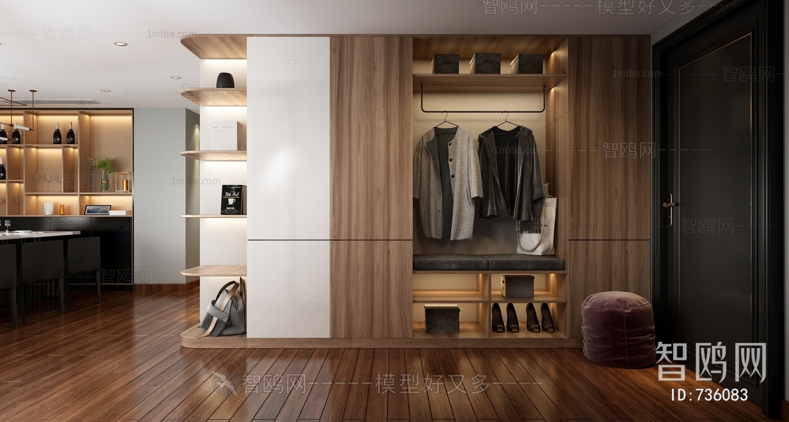 Modern Clothes Storage Area