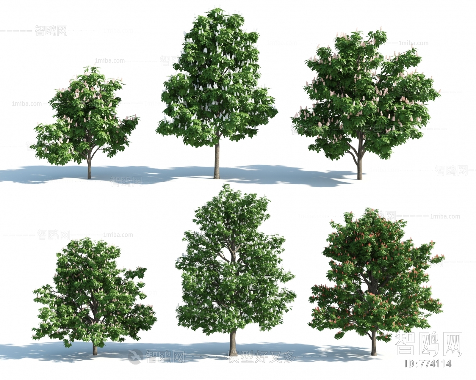 Modern Tree