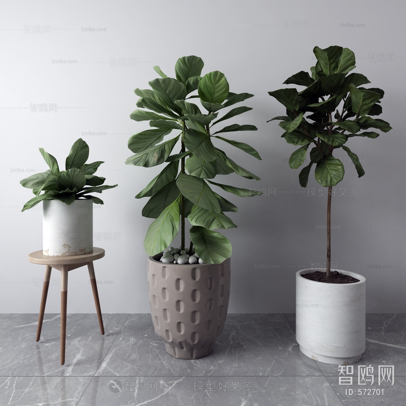 Modern Potted Green Plant