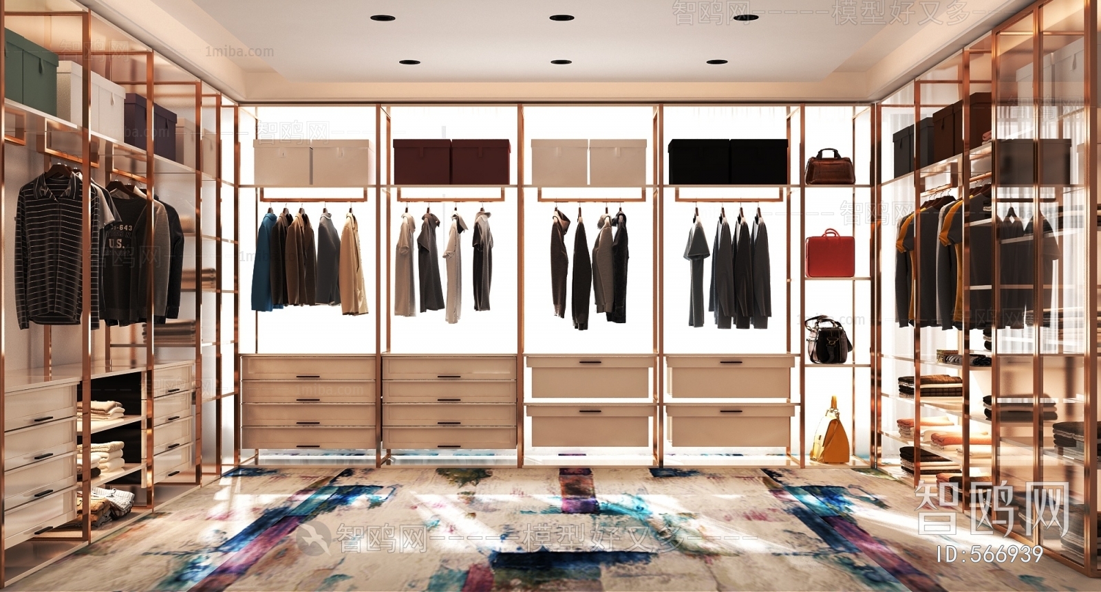 Modern Clothes Storage Area