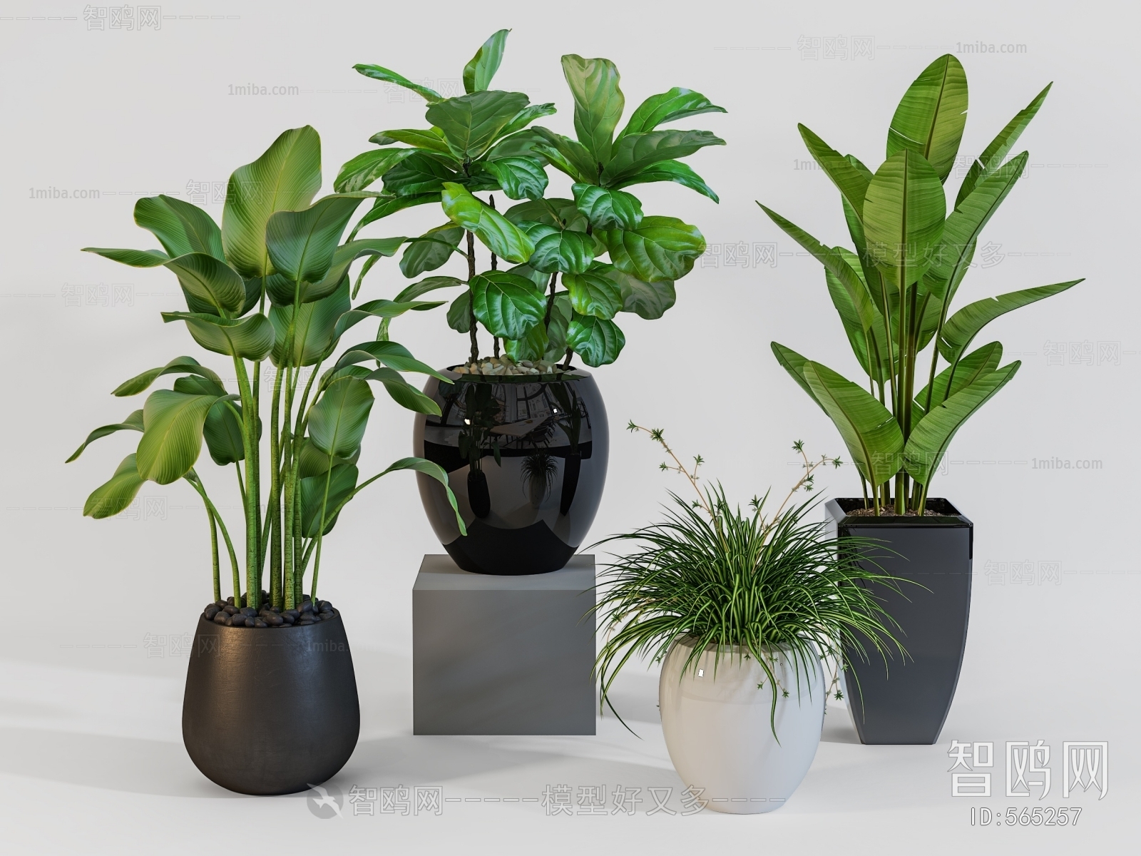 Modern Potted Green Plant