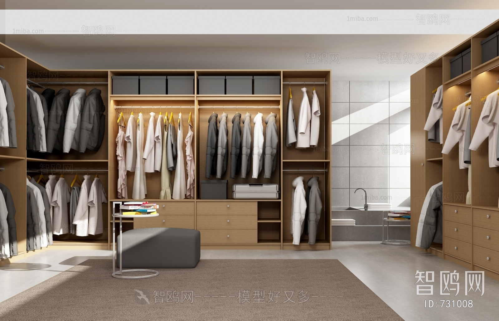 Modern Clothes Storage Area