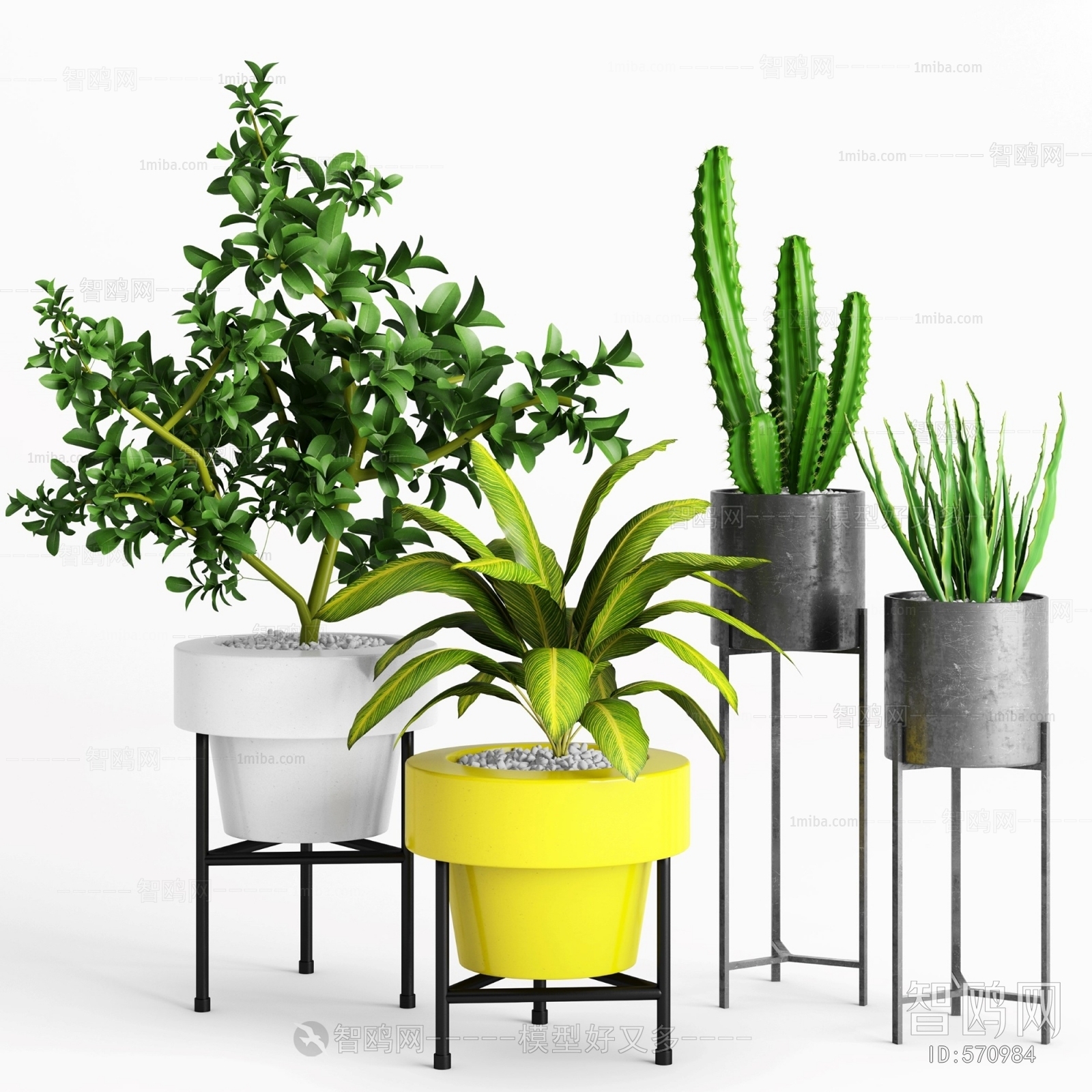 Modern Potted Green Plant