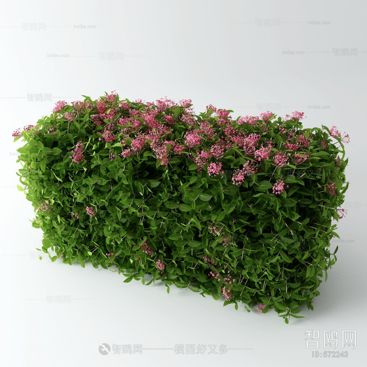 Modern Shrubbery